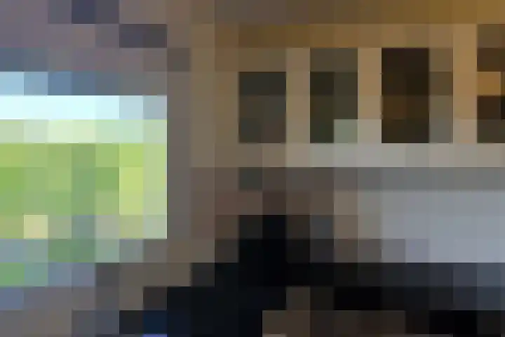 Else Mauhslaan 113 Den Haag thumbnail 12