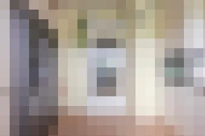 Else Mauhslaan 113 Den Haag thumbnail 13