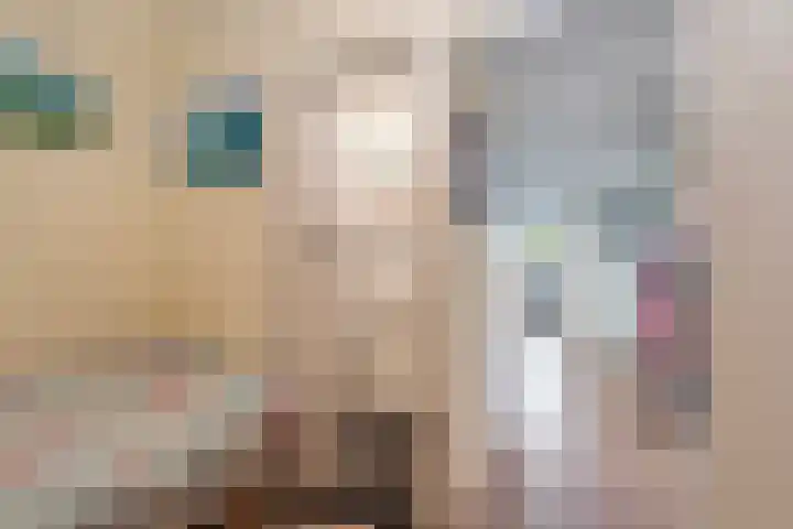 Else Mauhslaan 113 Den Haag thumbnail 17