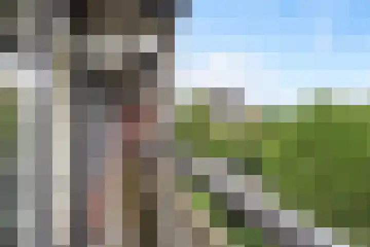 Else Mauhslaan 113 Den Haag thumbnail 22