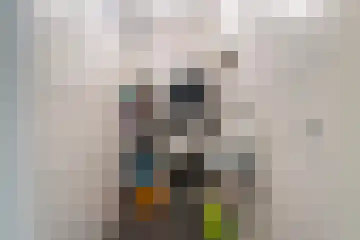 Else Mauhslaan 113 Den Haag thumbnail 24