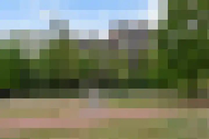 Else Mauhslaan 113 Den Haag thumbnail 27