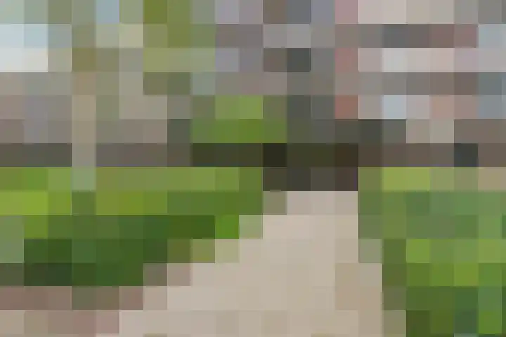 Else Mauhslaan 113 Den Haag thumbnail 33