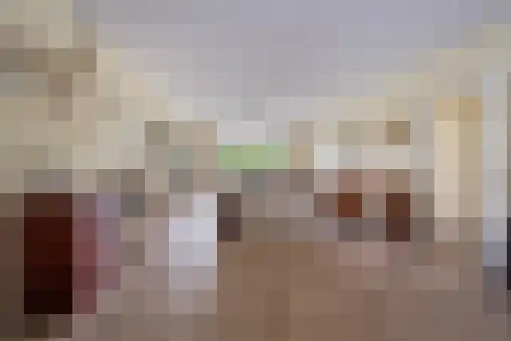 Else Mauhslaan 113 Den Haag thumbnail 5
