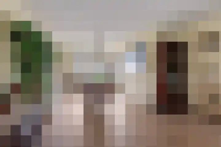 Else Mauhslaan 113 Den Haag thumbnail 8