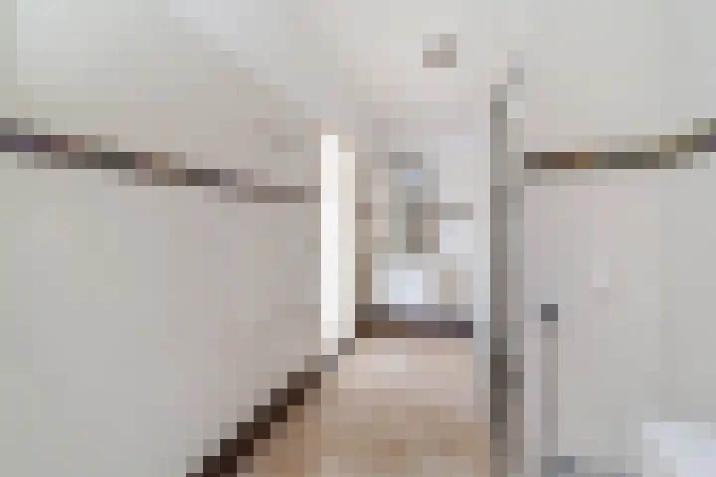 Else Mauhslaan 123 Den Haag thumbnail 12