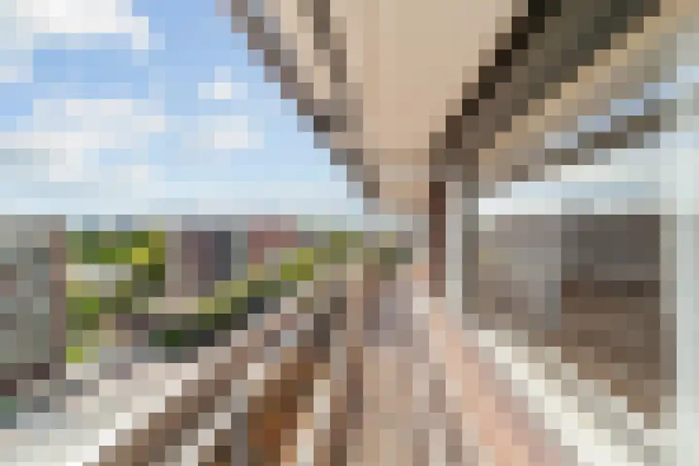 Else Mauhslaan 123 Den Haag thumbnail 17