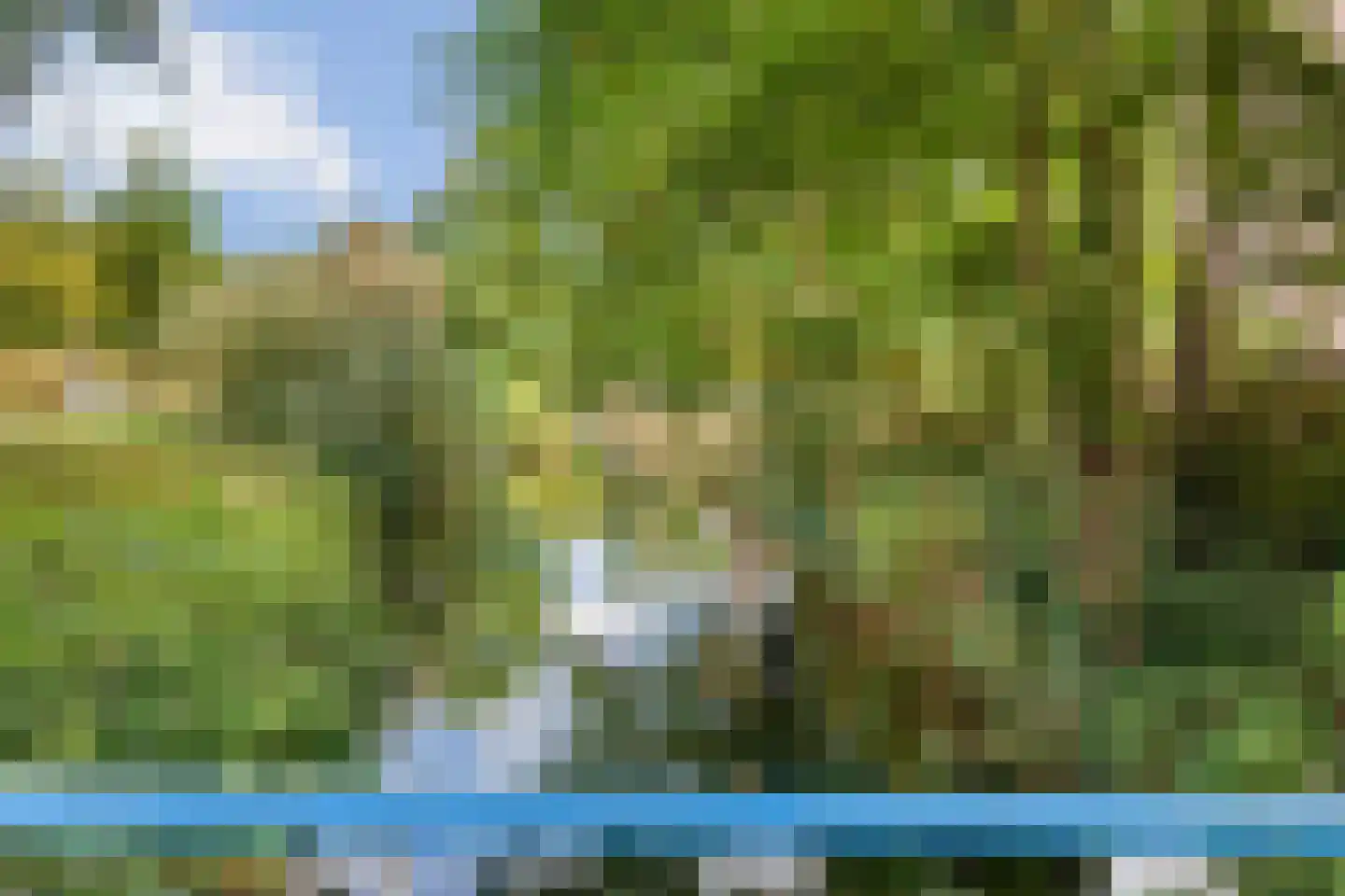 Else Mauhslaan 123 Den Haag thumbnail 19