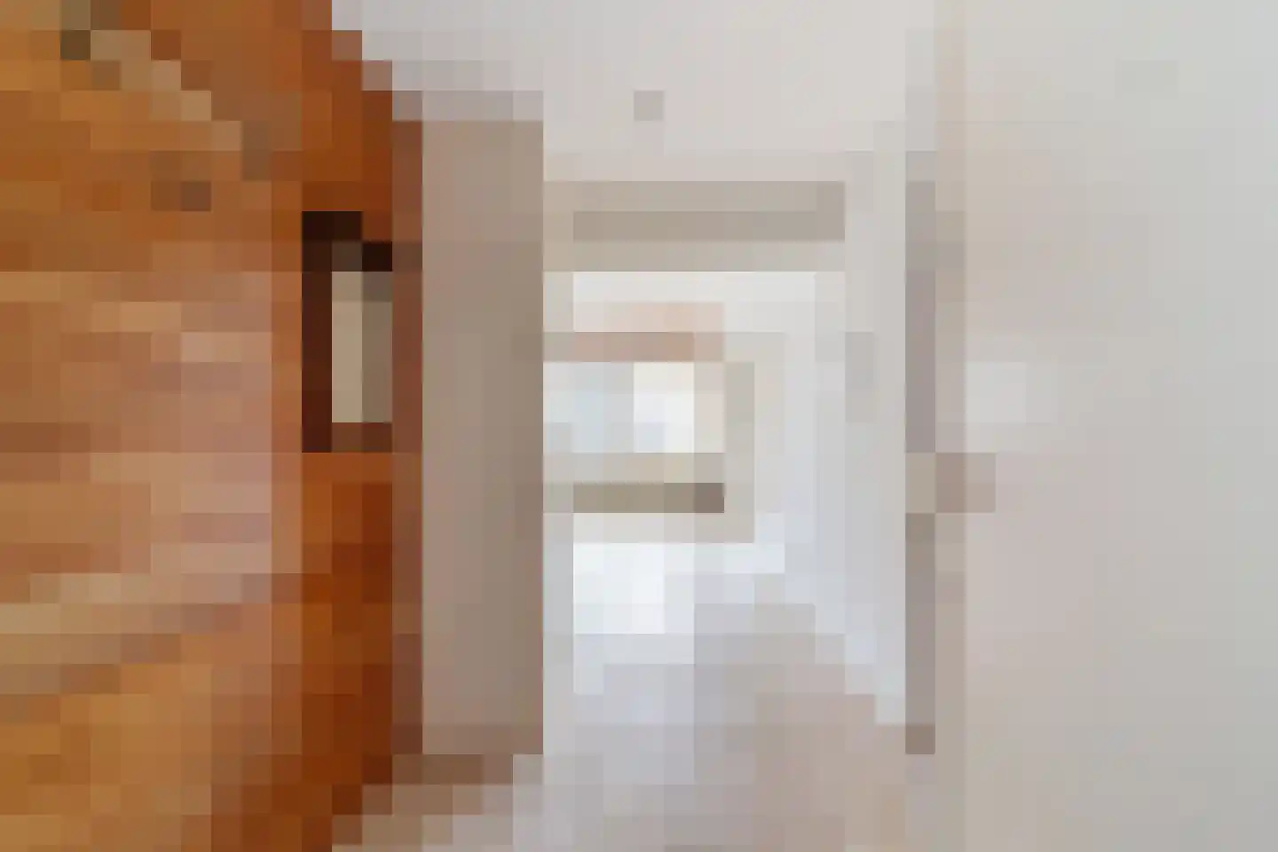 Else Mauhslaan 123 Den Haag thumbnail 5