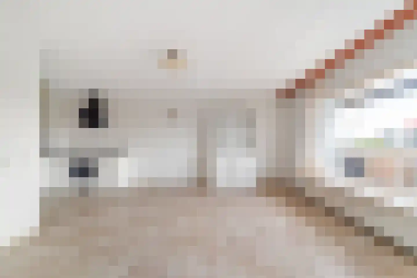 Else Mauhslaan 123 Den Haag thumbnail 7