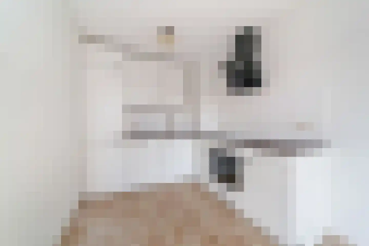 Else Mauhslaan 123 Den Haag thumbnail 9