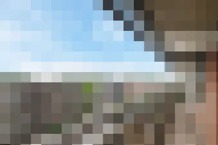 Else Mauhslaan 131 Den Haag thumbnail 15