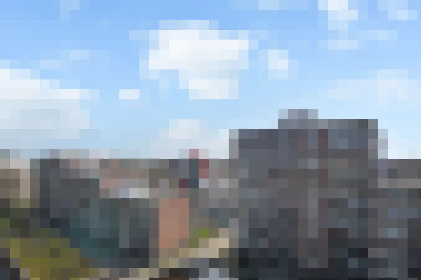 Else Mauhslaan 137 Den Haag thumbnail 10