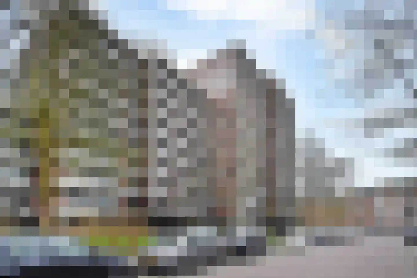 Else Mauhslaan 137 Den Haag thumbnail 40