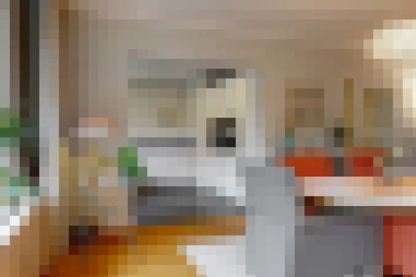 Else Mauhslaan 141 Den Haag thumbnail 10