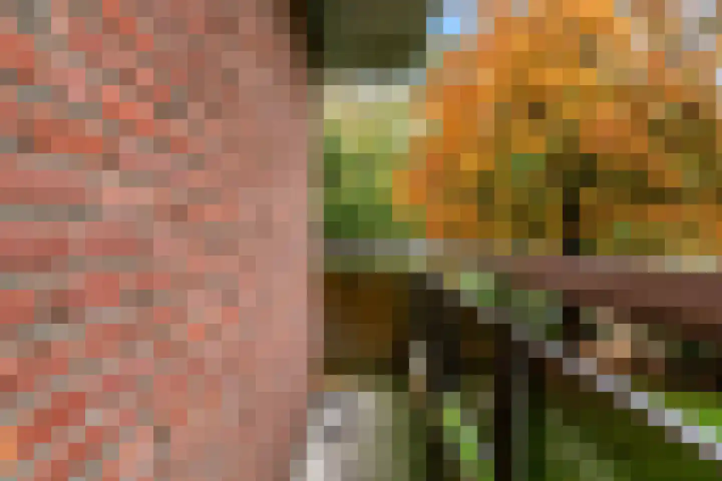 Else Mauhslaan 141 Den Haag thumbnail 21