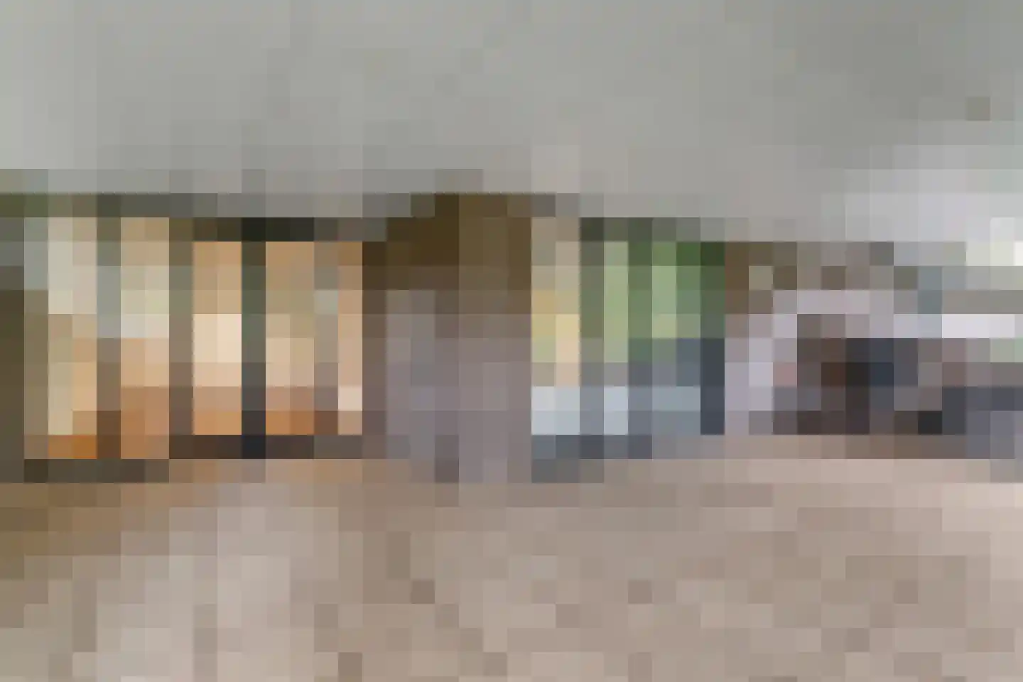Else Mauhslaan 141 Den Haag thumbnail 27