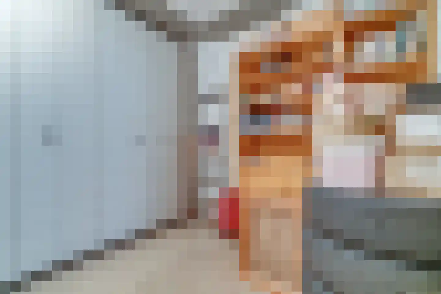 Else Mauhslaan 141 Den Haag thumbnail 30