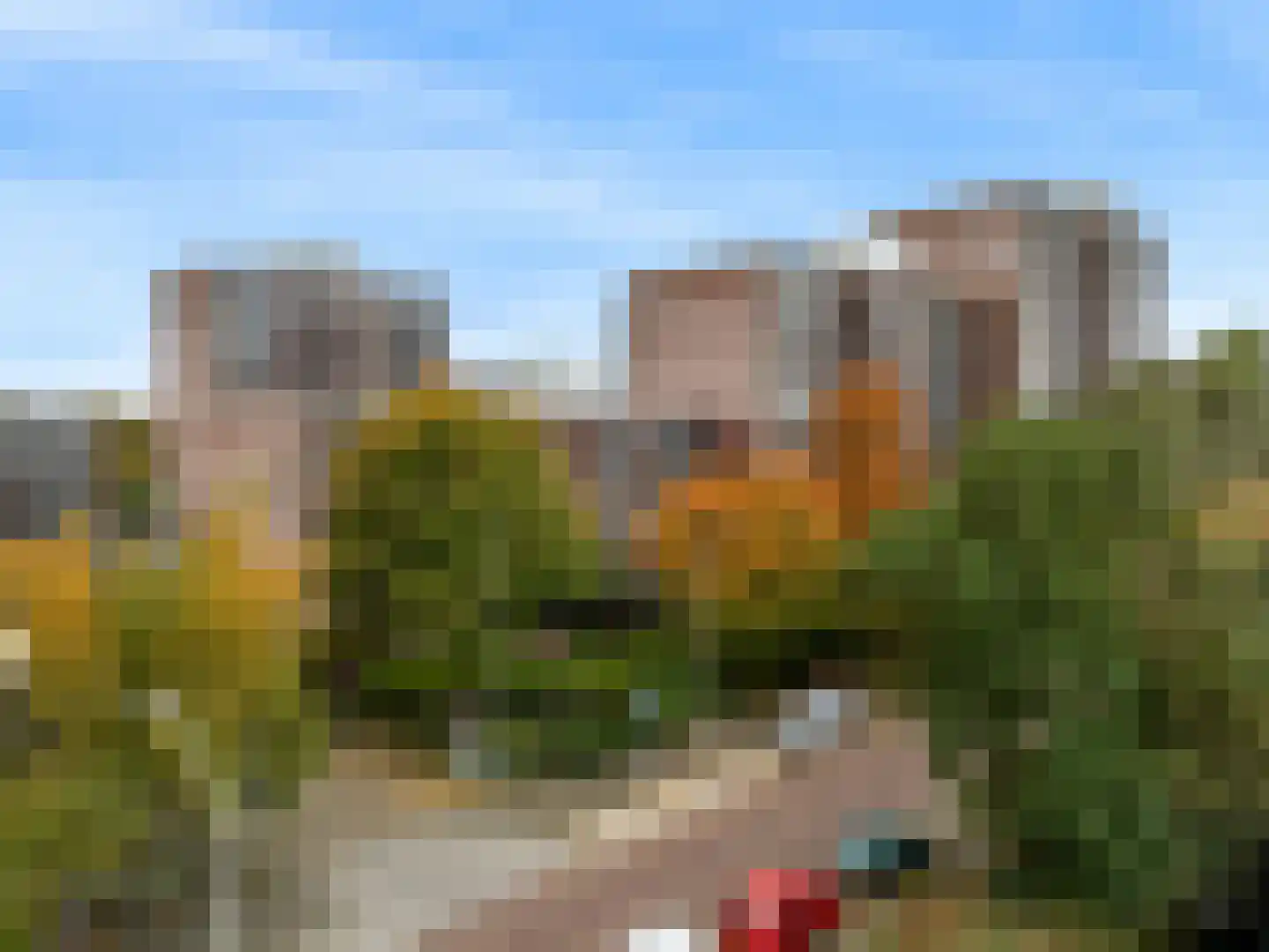 Else Mauhslaan 141 Den Haag thumbnail 34