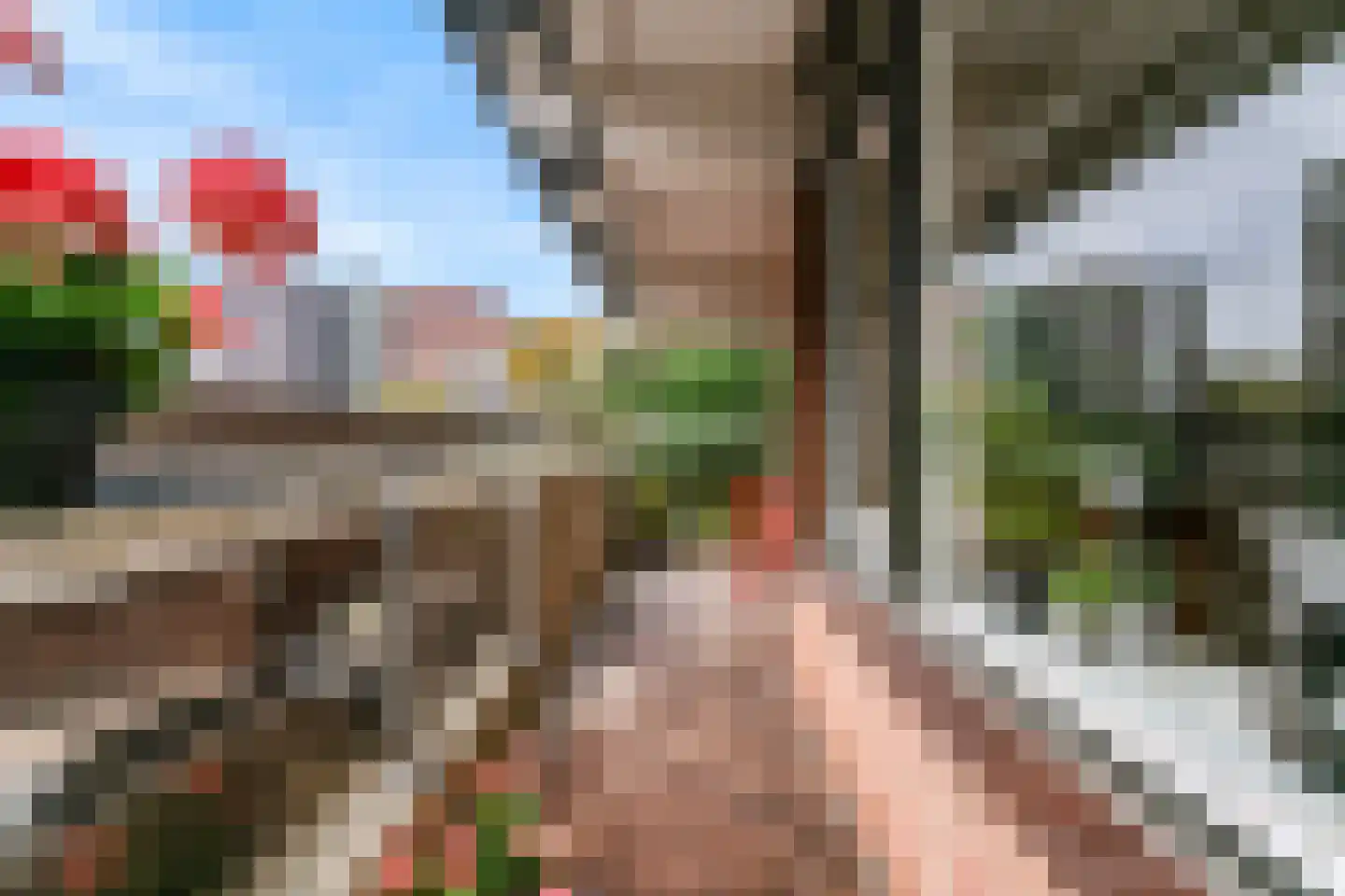 Else Mauhslaan 141 Den Haag thumbnail 5