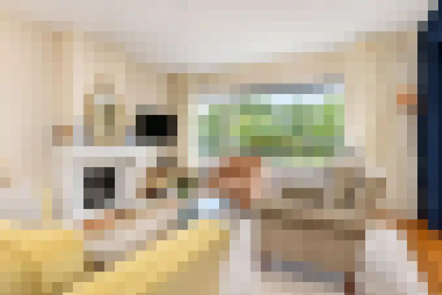Else Mauhslaan 169 Den Haag thumbnail 11