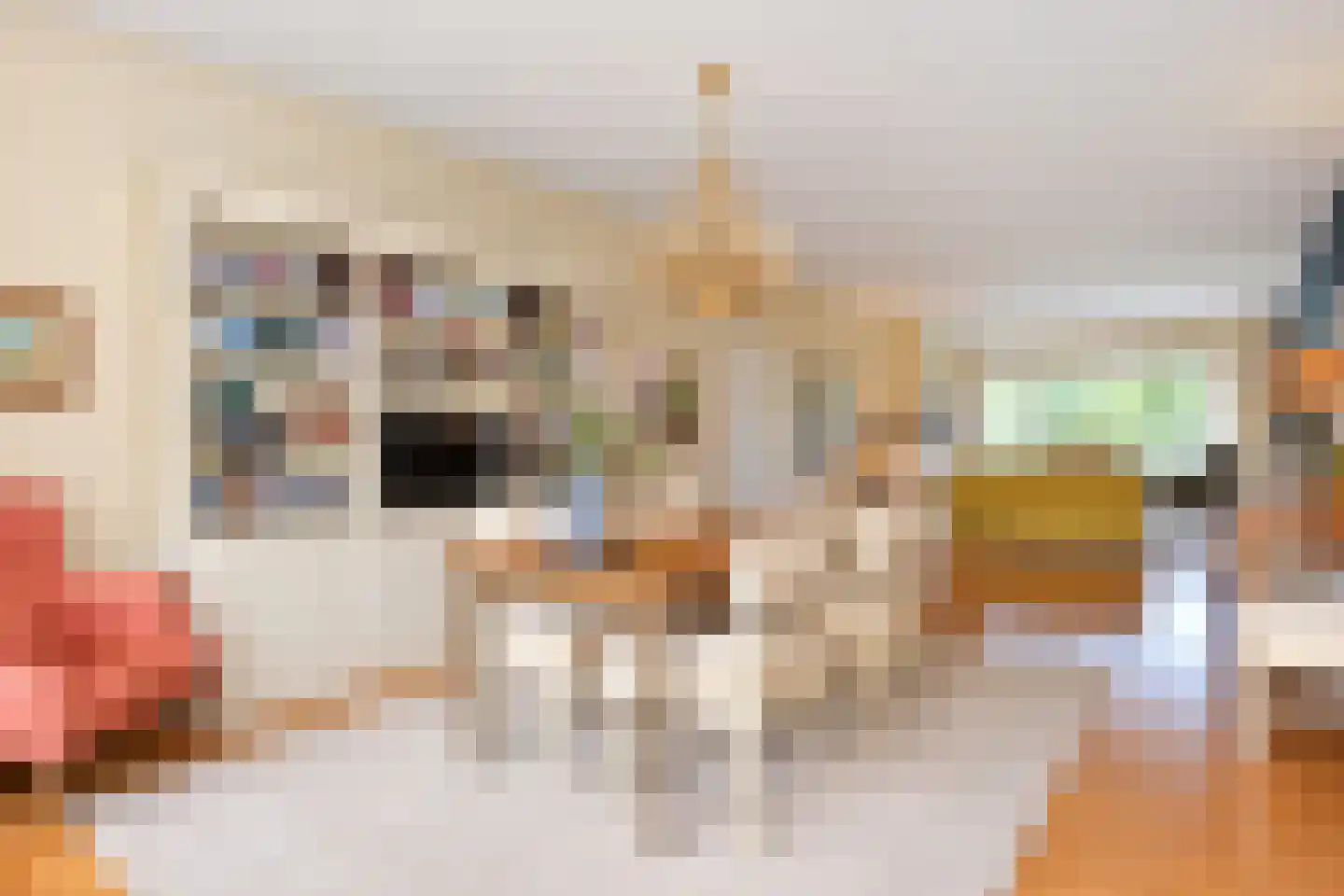 Else Mauhslaan 169 Den Haag thumbnail 19