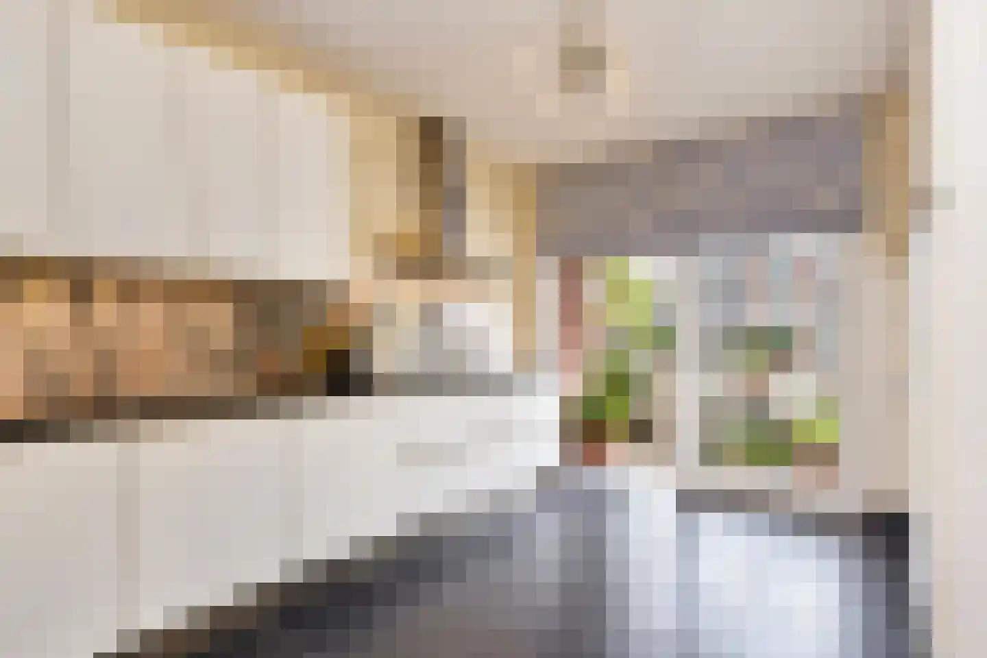 Else Mauhslaan 169 Den Haag thumbnail 22