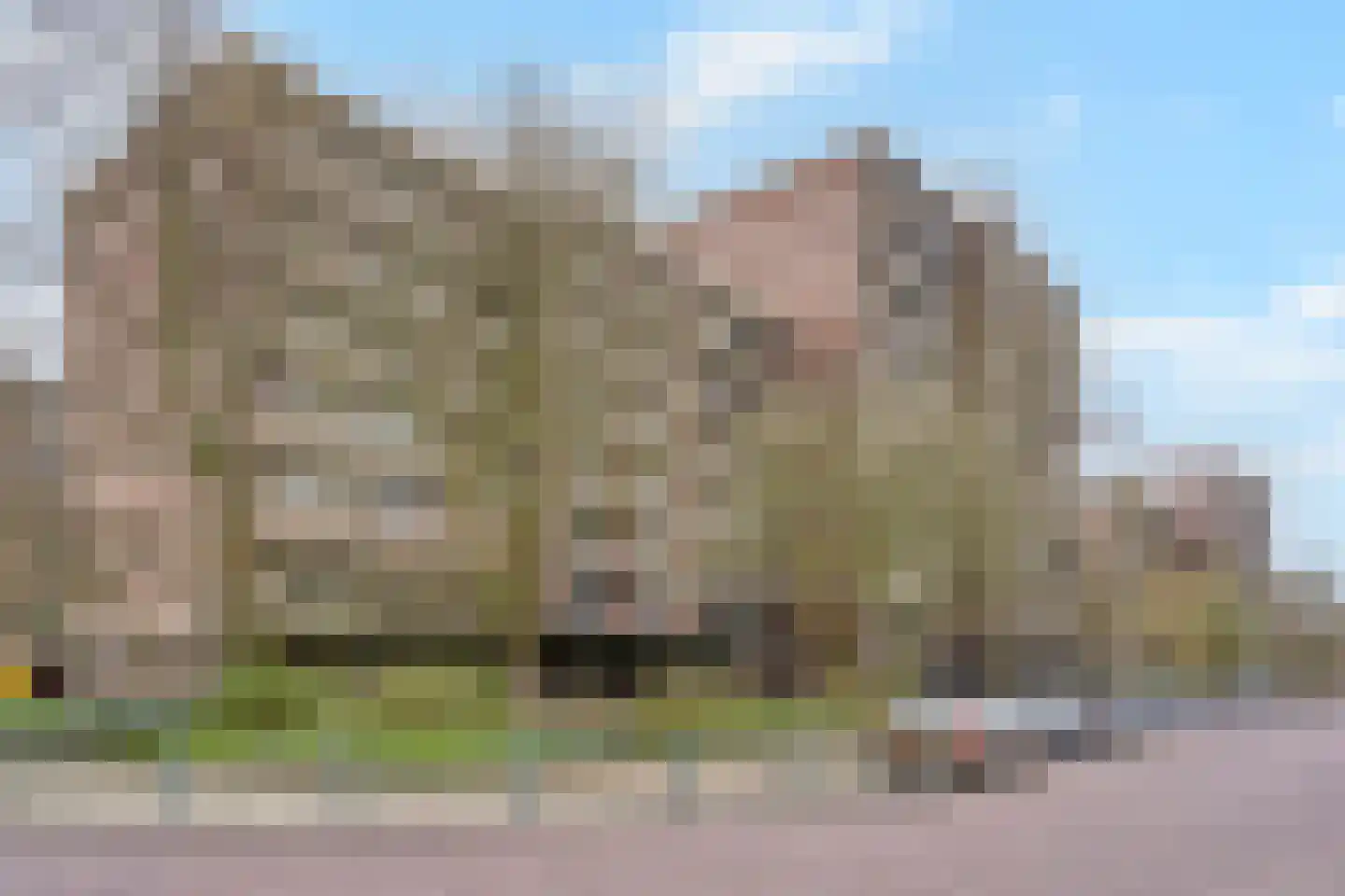 Else Mauhslaan 189 en Den Haag