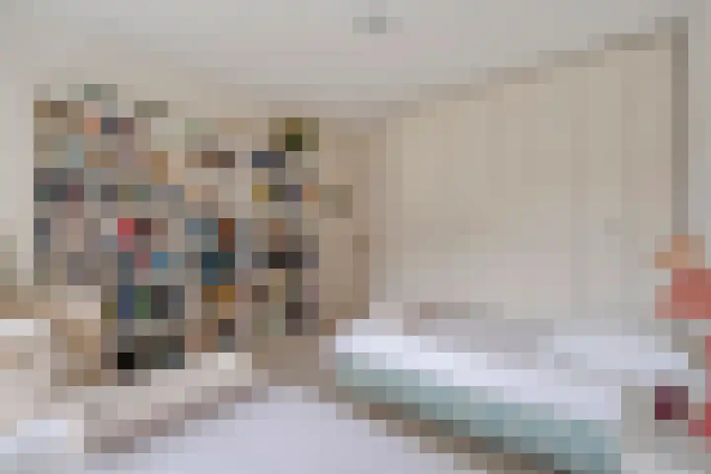 Else Mauhslaan 189 Den Haag thumbnail 12