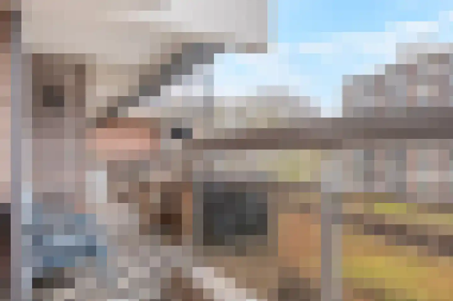 Else Mauhslaan 189 Den Haag thumbnail 16