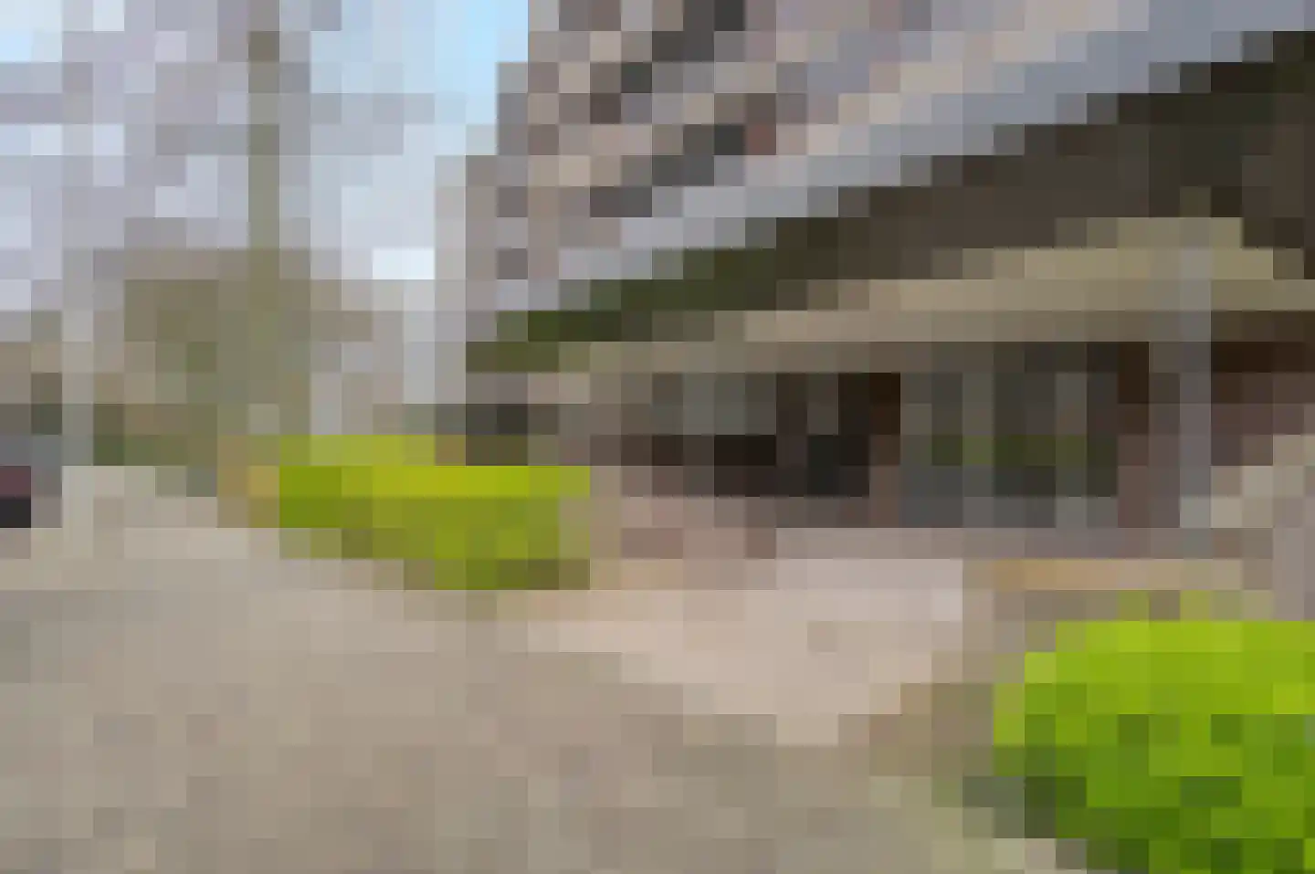 Else Mauhslaan 189 Den Haag thumbnail 20