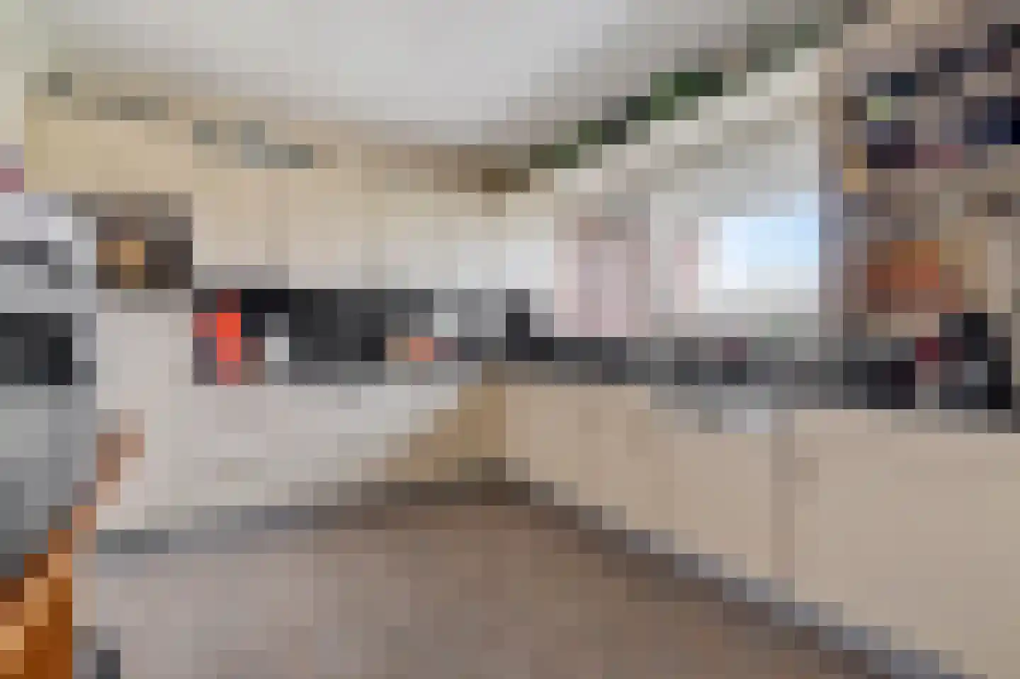 Else Mauhslaan 189 Den Haag thumbnail 7
