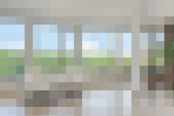 Else Mauhslaan 46 Den Haag thumbnail 19