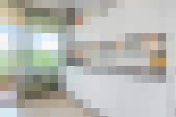 Else Mauhslaan 46 Den Haag thumbnail 28