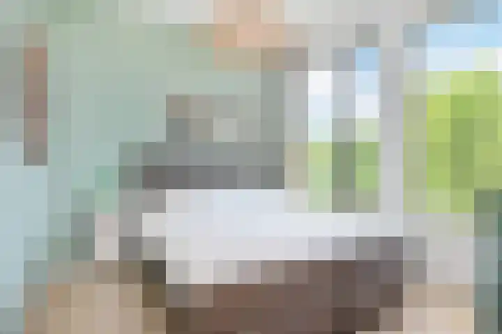 Else Mauhslaan 46 Den Haag thumbnail 36