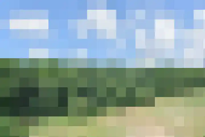 Else Mauhslaan 46 Den Haag thumbnail 4