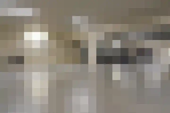 Else Mauhslaan 46 Den Haag thumbnail 42
