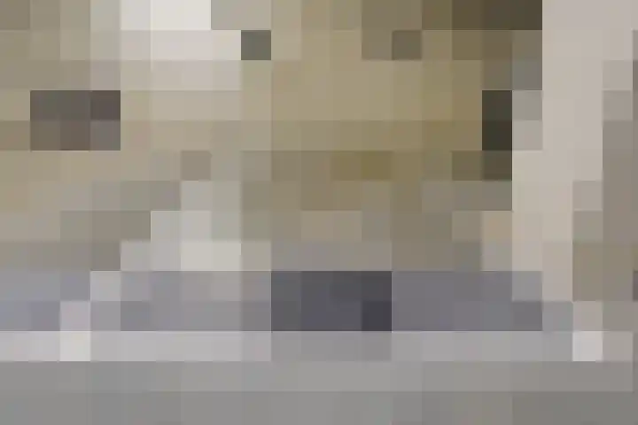 Else Mauhslaan 46 Den Haag thumbnail 43