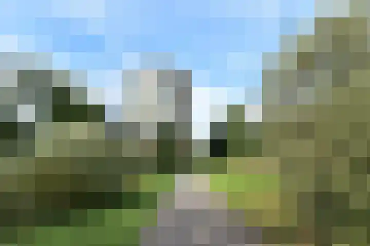 Else Mauhslaan 46 Den Haag thumbnail 48