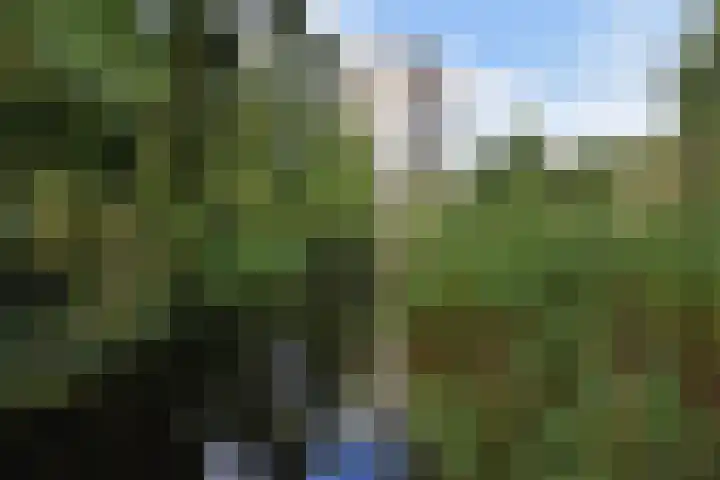 Else Mauhslaan 46 Den Haag thumbnail 50