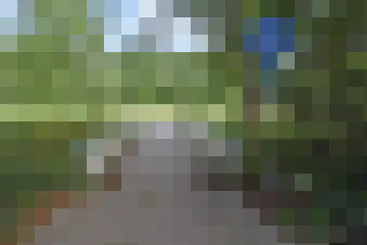 Else Mauhslaan 46 Den Haag thumbnail 52