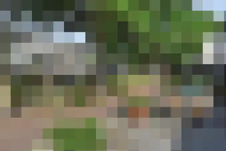 Else Mauhslaan 46 Den Haag thumbnail 55