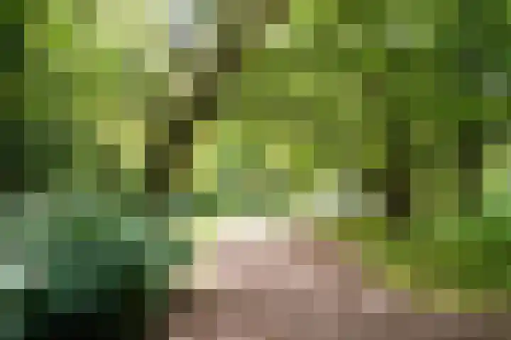 Else Mauhslaan 46 Den Haag thumbnail 57