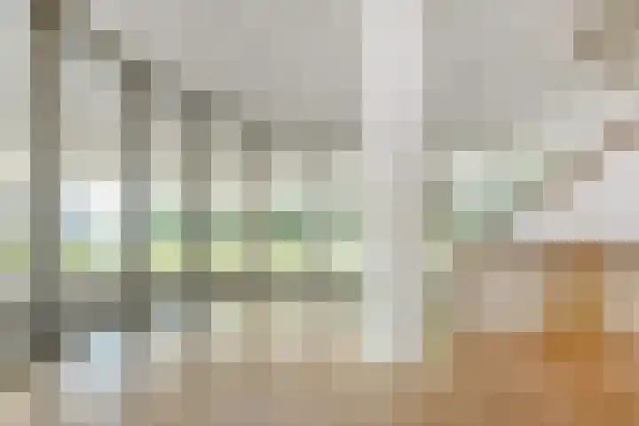 Else Mauhslaan 46 Den Haag thumbnail 7