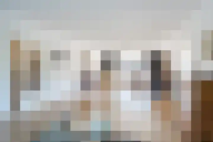 Else Mauhslaan 97 Den Haag thumbnail 17