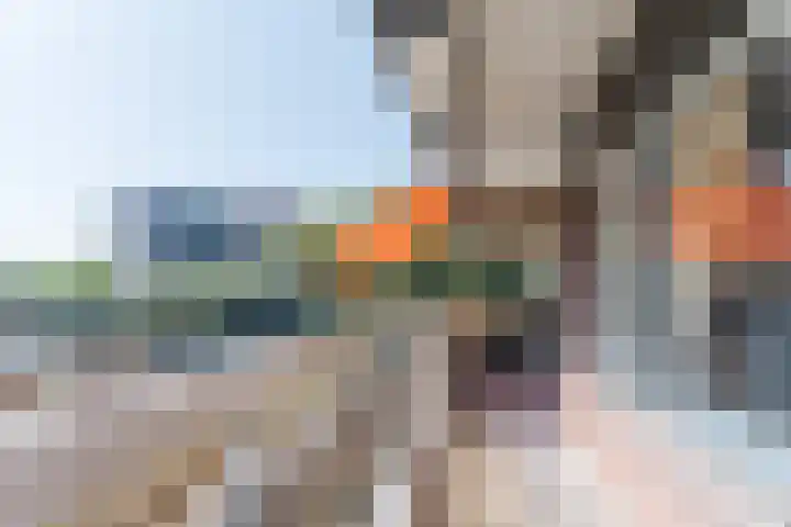 Else Mauhslaan 97 Den Haag thumbnail 32