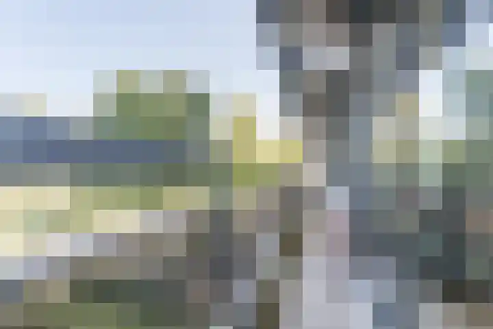 Else Mauhslaan 97 Den Haag thumbnail 43