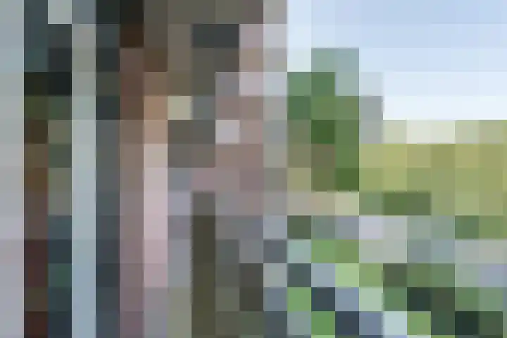 Else Mauhslaan 97 Den Haag thumbnail 44