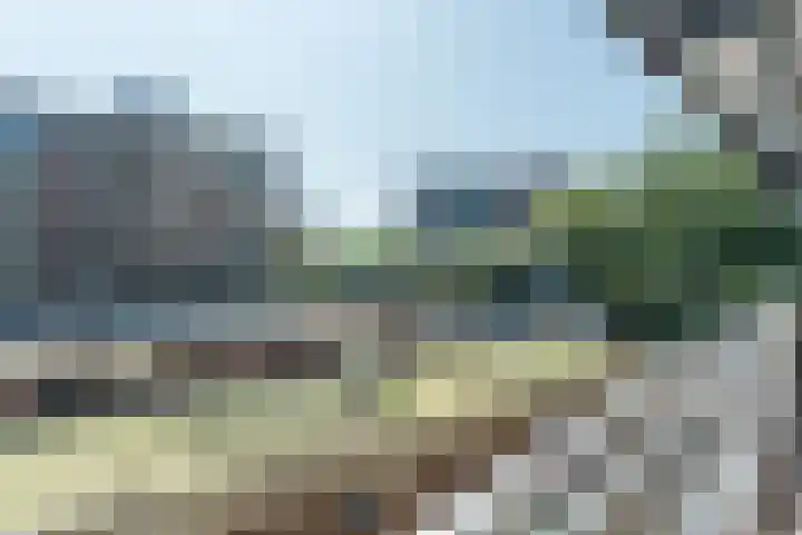 Else Mauhslaan 97 Den Haag thumbnail 45