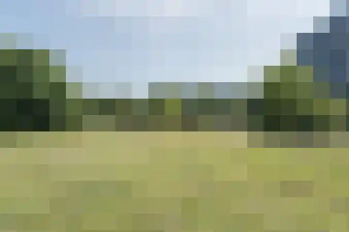 Else Mauhslaan 97 Den Haag thumbnail 51